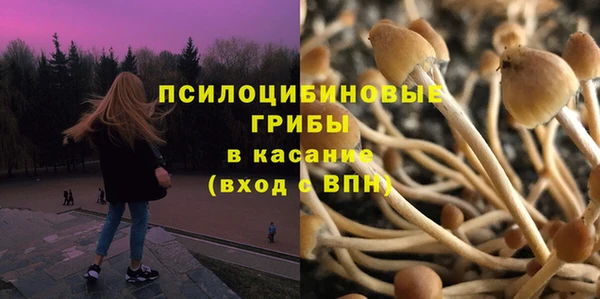 не бодяженный Красноперекопск